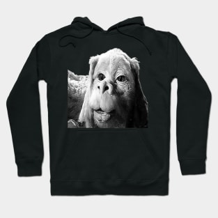 Falkor The Luck Dragon From The Neverending Story Design Hoodie